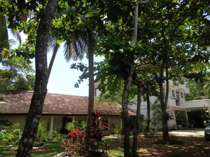 Nooit Gedacht Holiday Resort אונה ואטונה מראה חיצוני תמונה