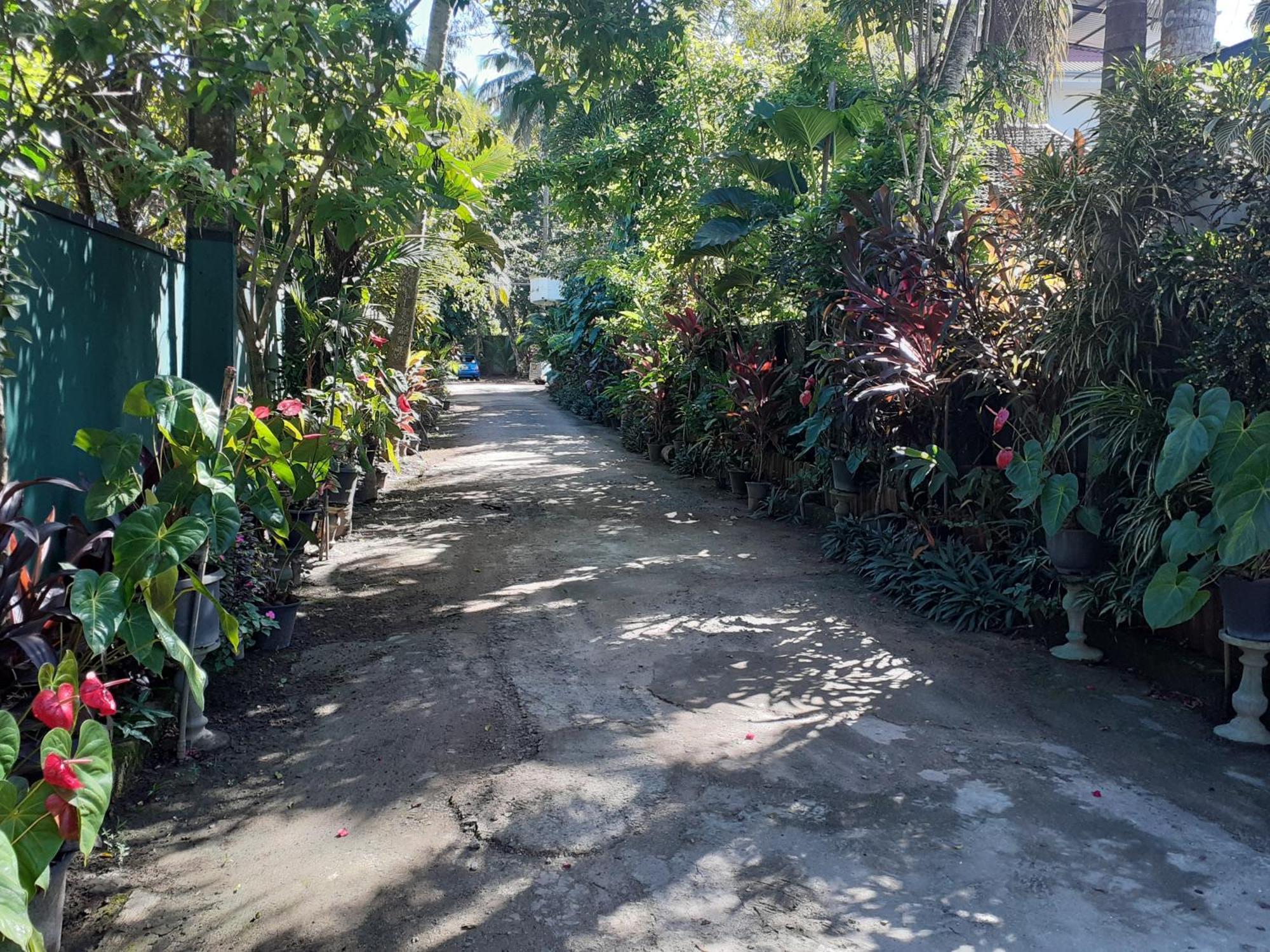 Nooit Gedacht Holiday Resort אונה ואטונה מראה חיצוני תמונה